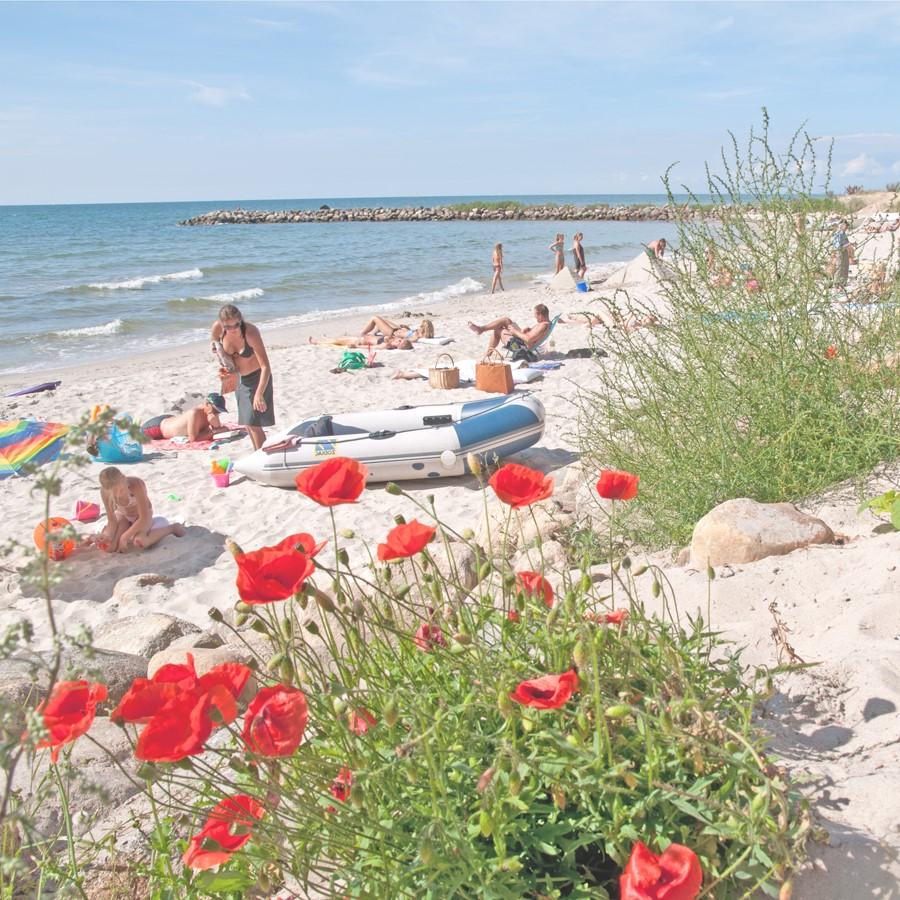 utflyktsmål Deltagare På resan finns plats för sex deltagare. Med på resan är två ledare.