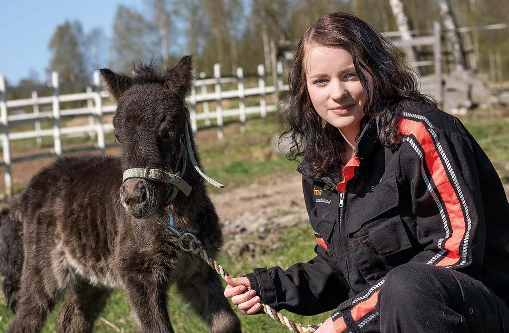 2017 2018 Djurskötare Grundexamen inom lantbruksbranschen n Djurskötarlinjen kan vara rätt för dig som är passionerat intresserad av djur. Här får du jobba med både sällskapsdjur och produktionsdjur.