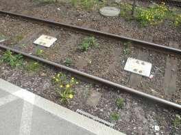 Bild 129 På vissa stationer får lokföraren ett signalbesked när han kör in till stationen för att stanna.