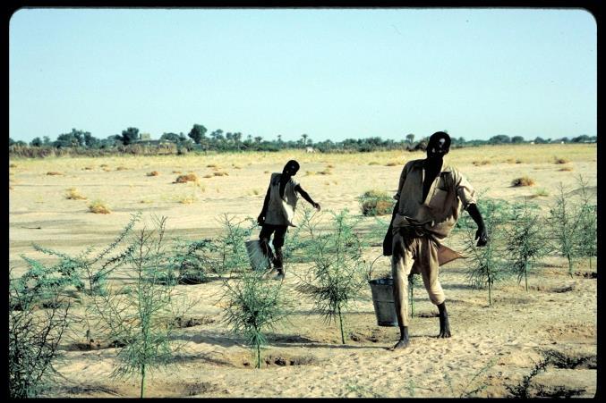 WRI 100-tals miljoner ha i Afrika) Signifikanta bidrag till att uppnå olika