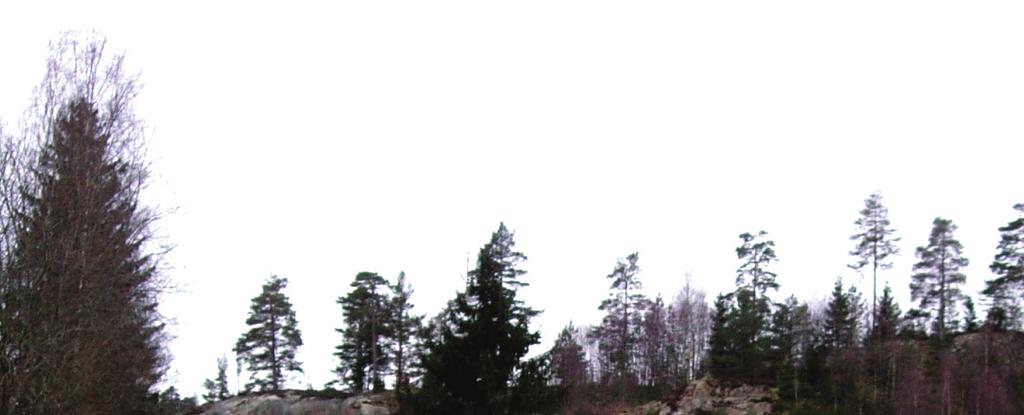 ARKIVHANDLING Gator och trafik Inom planområdet anläggs en lokalgata som avslutas i en vändplats med radien 9+1,5 meter.