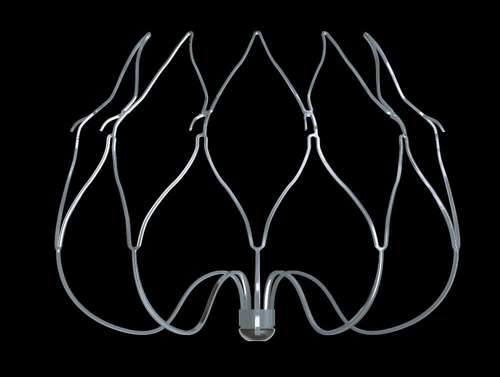 Nitinol Frame Engineered to conform to the unique anatomy of the LAA to reduce embolization risk 1 Flexible strut design with fixation anchors to distribute radial
