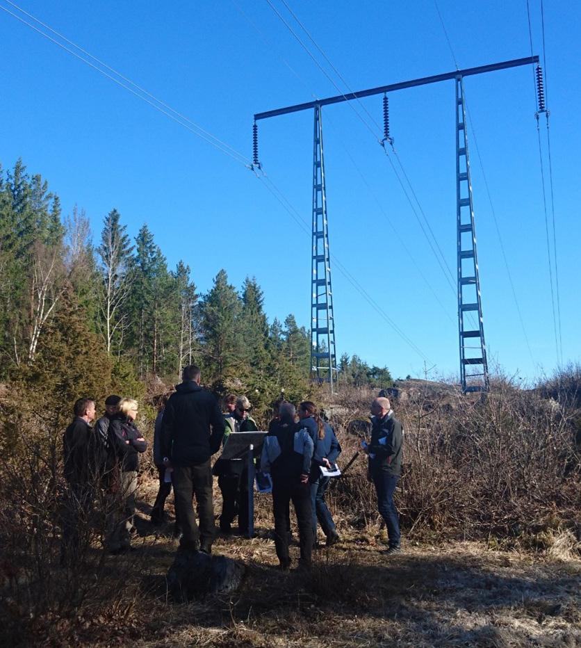 Samverkansexempel från projekt Roslagen och Region Syd Sweco och Trafikverket En LIFE-ansökan gällande infrastrukturens biotoper som Samverkansgruppen för biologisk mångfald, gräsmarker och