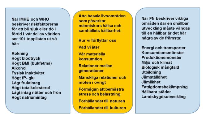 Ett fåtal basala livsområden förklarar både människors hälsa och samhällets hållbarhet De främsta riskfaktorerna för sjukdom och för tidig död i vår del av världen har sitt ursprung inom ett fåtal