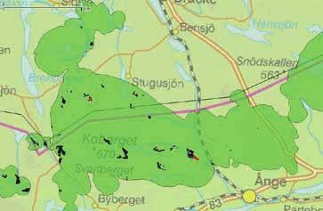 VT 2 OMRÅDE 7 KILTJÄRNEN Avverkningsanmälan: A 38416-2015 Ägare: SCA Yta: 5,4 ha Datum för inventeringen: 2017-06-20 Inventerad av: Rebecka Le Moine IDENTIFIERADE RÖDLISTADE OCH SIGNALARTER Svenskt