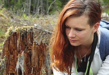 Genomför årligen större inventeringsprojekt och spenderar varje år upp till fyra månader i skogen där han guidar grupper av naturvårdare och andra skogsintresserade.