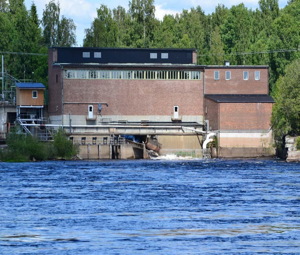 Arbetspaket 1 Ökad fångst- och överlevnad för upp- och