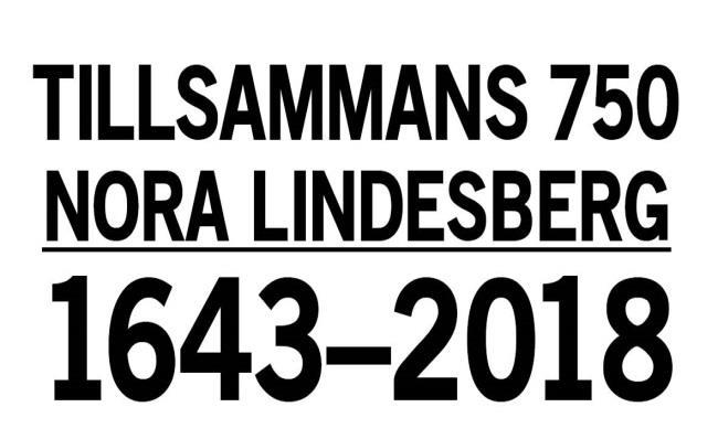 Varför Tillsammans? för att fira och förstå platsernas gemensamma historia. för att skapa en långsiktig känsla för våra likheter och olikheter. för att lära känna varandra bättre.