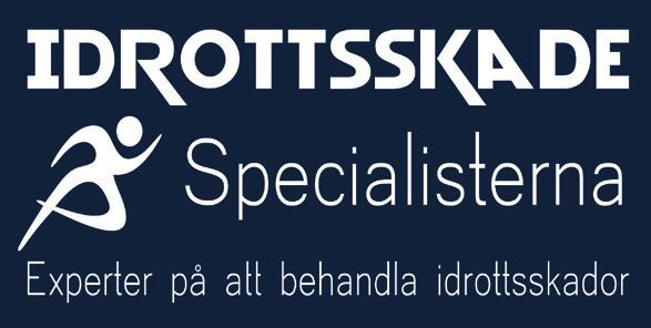 BRONSPARTNER Våra Bronspartners Sociala Medier / Blogg - 6 sponsrade inlägg i sociala medier med en spridning på över 15 000.