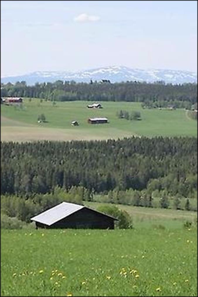 MER [landsbygd] Tätorter på landsbygden från år 2014 till juni 2017 Brunflo, Lit, Tandsbyn, Orrviken, Fåker, Häggenås + 39 människor Övrig landsbygd från år 2014 till juni 2017