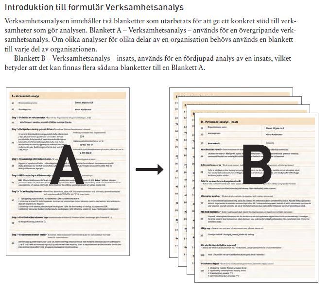 Verksamhetsanalys och analys insats