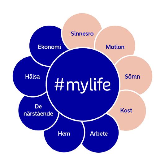 Trygghet i företagarens liv - Produktbeskrivning av Nordea MyLife En flexibel och individuell personförsäkring ökar trygghetskänslan i företagarens hektiska vardag.