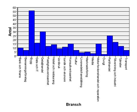 Antalet inledda konkurser per bransch: Ur diagrammet kan utläsas att byggbranschen hade flest inledda konkurser. 20,2 % av företagen var verksamma där.