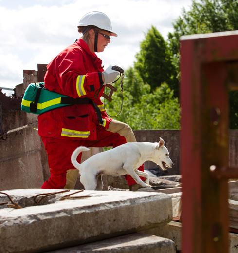 Nyttiga tjänstehundar Som hundförare till en patrullhund, räddningshund eller sjöräddningshund får du, tillsammans med din hund, utvecklas in i en roll som verkligen