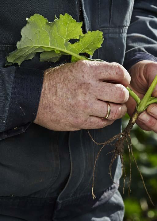 Danish Agriculture and Food Council, 2014, Facts and Figures: Danish agriculture and food Wood A, Gordon L, Röös E, et al.