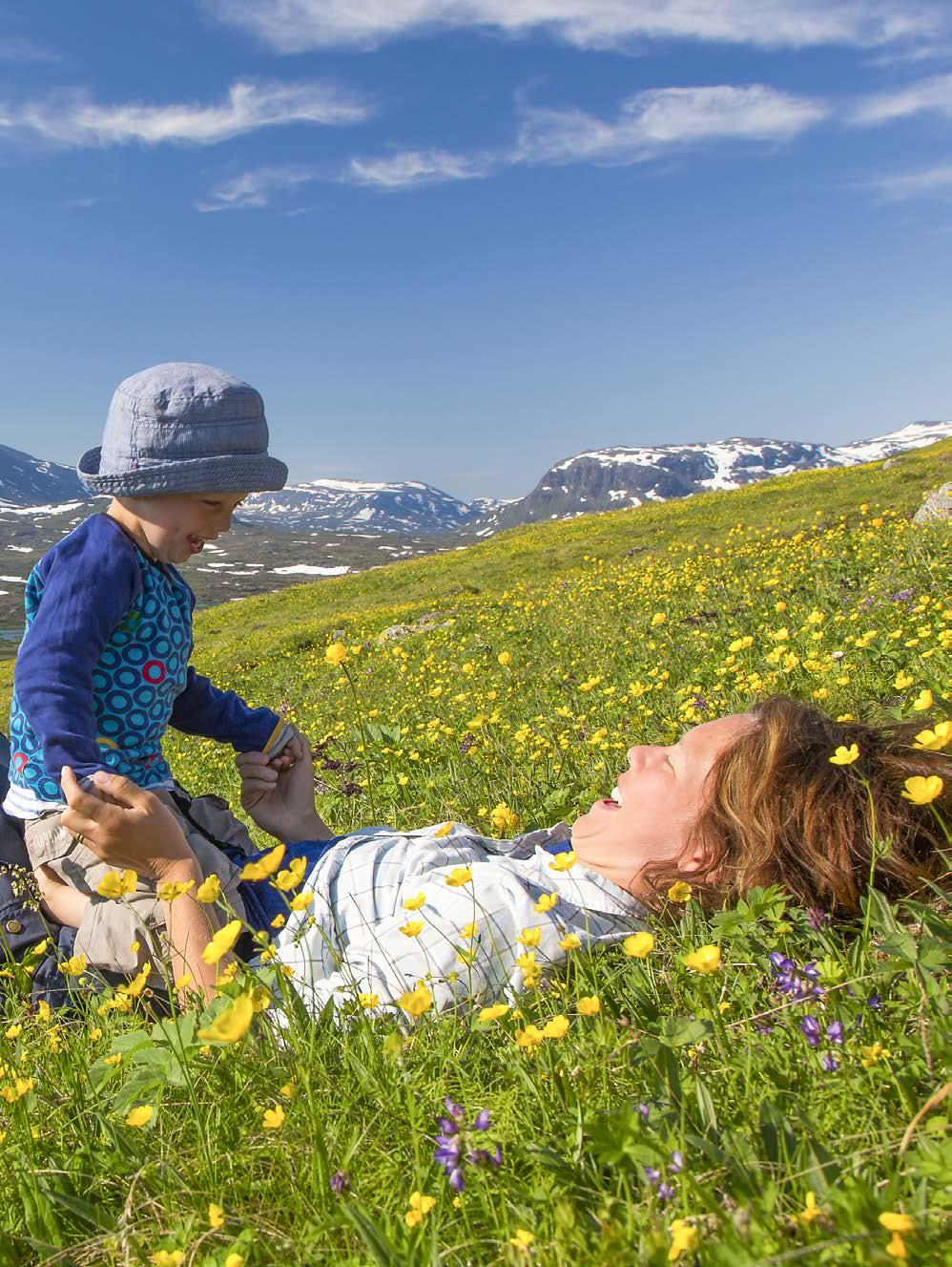 Berättelsen om Region Norrbotten Region Norrbotten ska vårda, värna och utveckla Norrbotten.