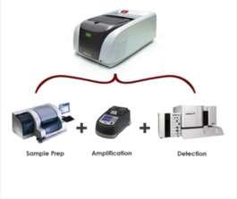 Snabb-PCR