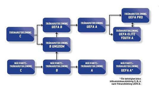 Av bifogad bild framgår hur Svenska Fotbollförbundets nya tränarstege ser ut. Som första kurs och som alla måste gå innan man väljer spår är en kurs som heter SvFF C-diplom.