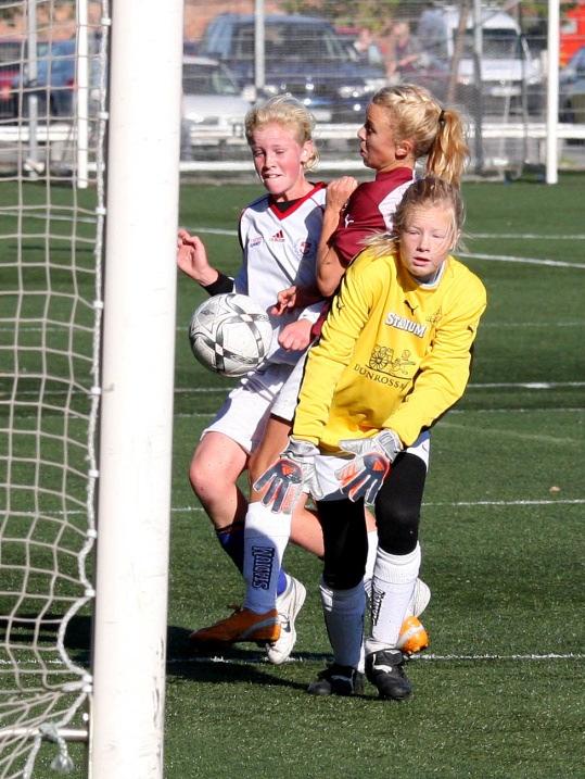 Nolltoleransen innehåller också: Varning känslig föräldraläsning Är en liten påminnelse till alla fotbollsföräldrar om hur du bör uppträda i anslutning till ditt barns fotbollsspelande.