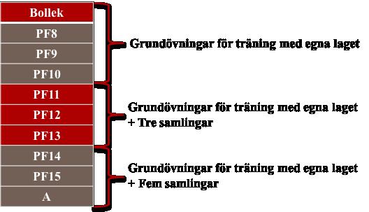 Styrkegymnastik Spänst Rörlighet 1.4 Träningsgrupper EIK MV Nedan följer ett förslag till gruppindelning samt upplägg för respektive grupp.