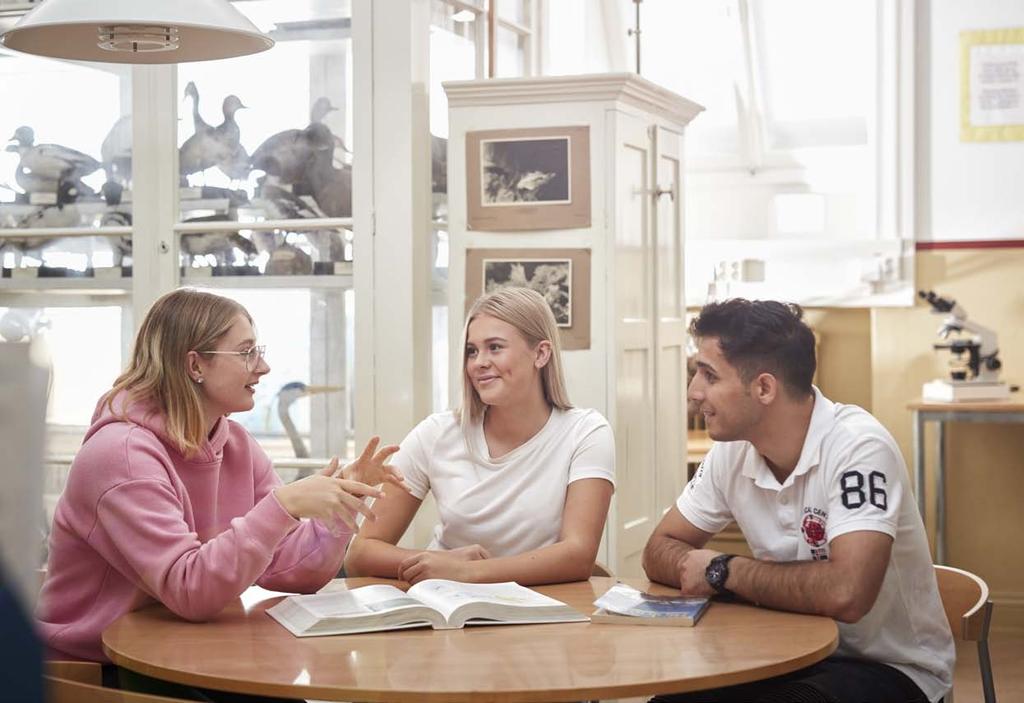 Naturvetenskapsprogrammet Naturvetenskapsprogrammet lär dig att söka efter förklaringar.