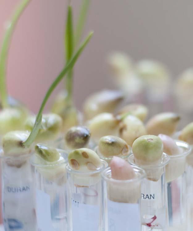 NATURVETENSKAP Hör biologi, kemi, fysik och matematik till några av dina favoritämnen? Då är inriktningen naturvetenskap något du ska titta närmare på!
