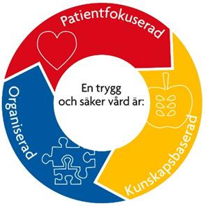 Nationellt ramverk för patientsäkerhet Patientfokuserad (t.ex.