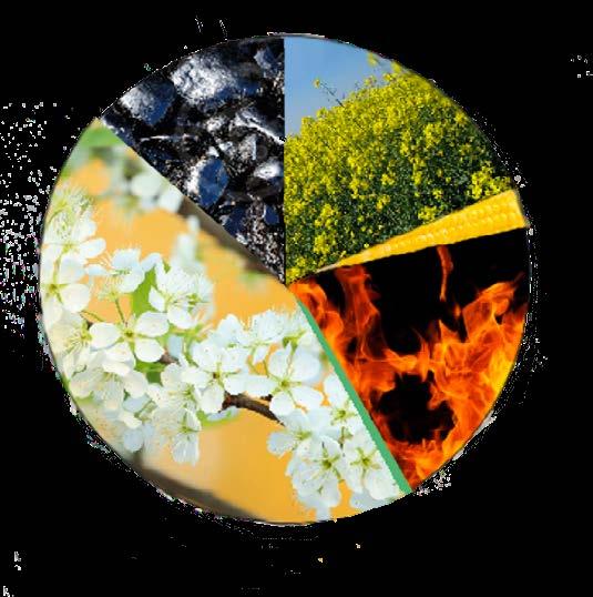 Biogas