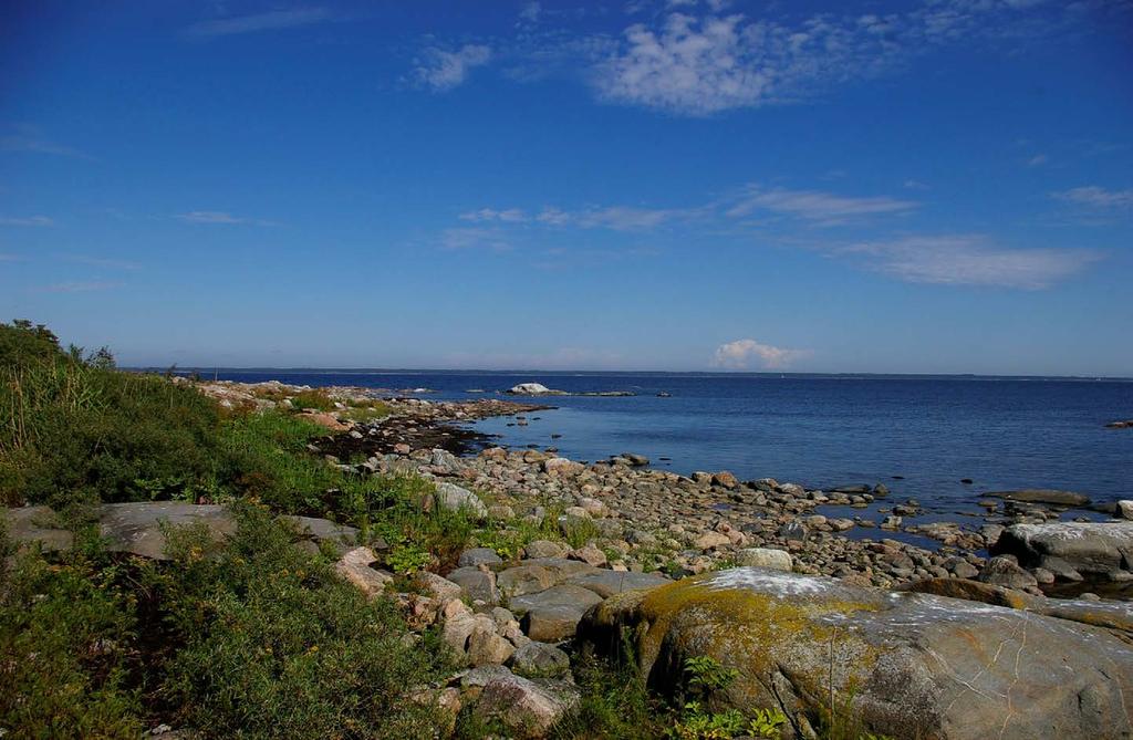 Förvaltning av nordens kustområden - En IPBES liknande bedömning av biologisk mångfald och