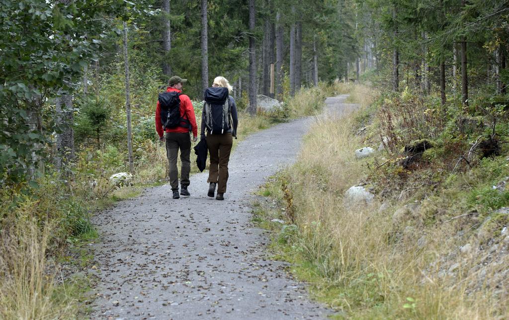 ska blomstra inte minst genom sin del i den gröna omställningen. Det finns stora möjligheter till ett livslångt lärande.