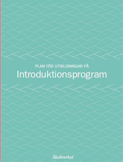 Huvudmannens styrning av introduktionsprogrammen PLAN FÖR UTBILDNING Behörighet Syfte Före utbildningsstart