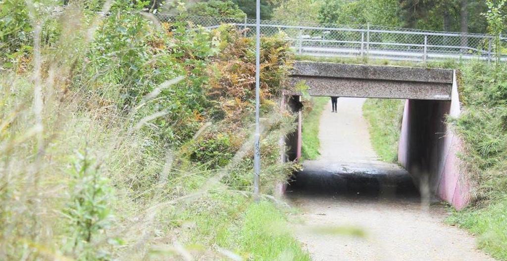 NÄVERTORP Tunnel under Stora Malmsvägen En otrygg plats som med gestaltning och belysning kan göras trevligare och tryggare.