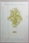 11-2017 Tiina Vainio Lace in the Forest Etsning Galleri