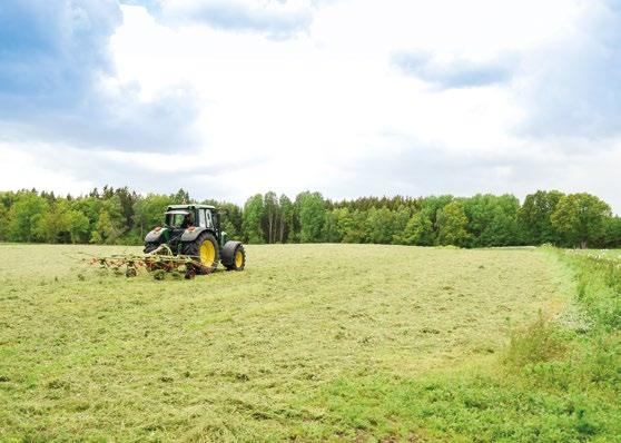 Årskurs 1 Året innehåller bl.