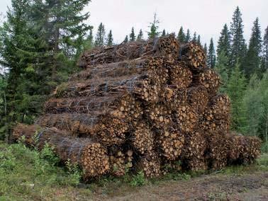 BUNTNING Buntningen av materialet tidstuderades inte. Men då materialet tydligt märkts upp rapporterades uppgifterna till Skogforsk efter att buntningen utförts och buntarna körts in till värmeverket.