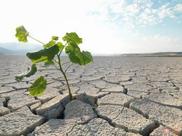 Dagens klimat Jordens klimat blir allt varmare. FN:s klimatpanel IPCC har slagit fast att människans påverkan ligger bakom merparten av den temperaturökning som skett sedan 1900-talets mitt.