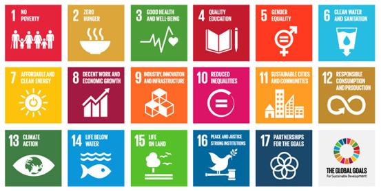 En global agenda för hållbar utveckling: Agenda 2030 FN:s medlemsländer har beslutat om utvecklingsagenda med 17 hållbarhetsmål och 169 delmål utformade för att möta de