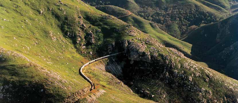 12 dagar fr 37 995:- Lyxiga Rovos Rail natur, kultur och äventyr En resa med lyxtåget Rovos Rail är ett äventyr utöver det vanliga i färgstarka Sydafrika.