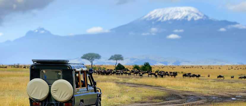 10 dagar fr25 975:- Kenya möt det vilda naturlivet på Afrikas savann Följ med på ett spännande safariäventyr där vi utforskar de natursköna vyerna och det storslagna djurlivet i Kenya.