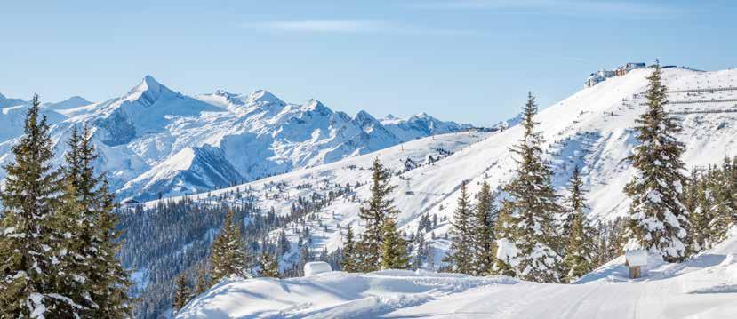 8 dagar fr 9 995:- Skidor Saalbach en pärla i österrikiska alperna I Saalbach finner du ändlösa skidmöjligheter då det är ett av Österrikes största skidsystem.