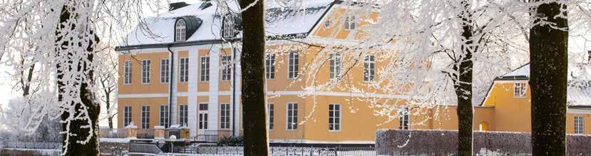 Wapnö julmarknad med julbord Dagstur 795:- Jul på Wapnö slott utanför Halmstad lockar tiotusentals besökare varje år och är västkustens största julmarknad.