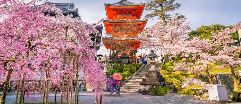 Stora Japanresan med Japans högsta berg och högsta byggnad 11 dagar fr 25 975:- Vår större rundresa till Japan innehåller både pulserande stadsliv och natursköna vyer.