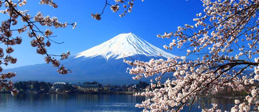9 dagar fr 22 975:- Japan solens rike En resa till Japan är en minnesvärd upplevelse.