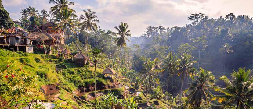 13 dagar fr 19 595:- Bali rundresa med sol och bad på gudarnas ö Bali är ett tropiskt paradis som har något för alla.