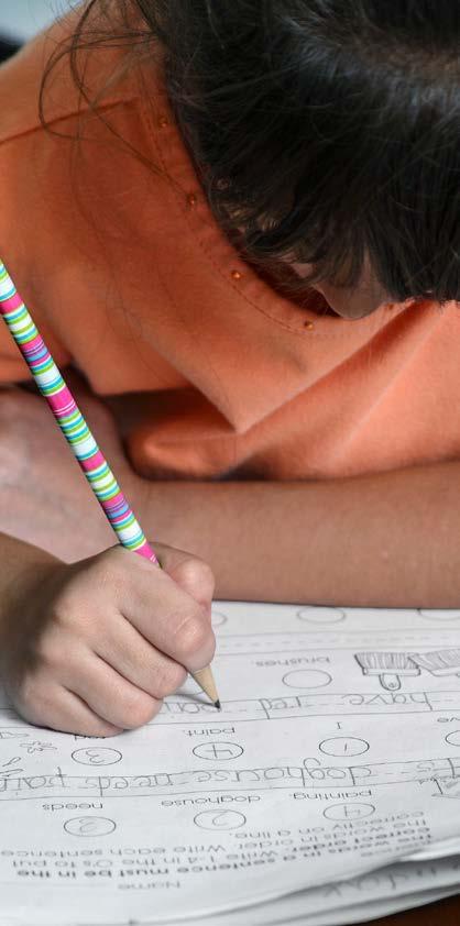12. Det systematiska kvalitetsarbetet i förskola och grund skola är under utveckling. Här är det främst dokumentationen som brister.