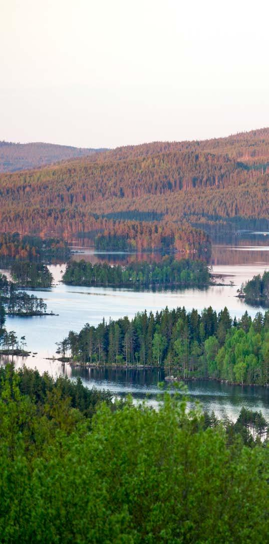 Utbildning, kultur och fritid 27. Arbetet med att införa FAS-05-avtalet (centralt avtal om samverkan och arbetsmiljö slutet mellan arbetsgivare, SKL, och arbetstagarorganisationer) pågår.