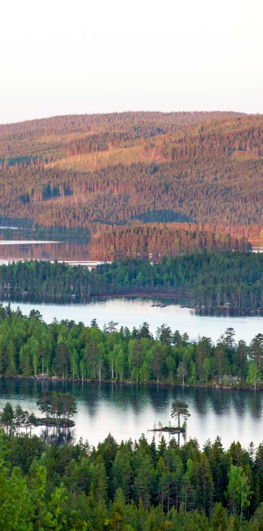 Ekonomi (finansiella mål) Vansbro kommun har en ekonomi i balans 2017 34. Politiska beslut stödjer en hållbar ekonomi. 35. Har en långsiktig ekonomisk planering. 36. Har ett överskott på 0,5 procent.
