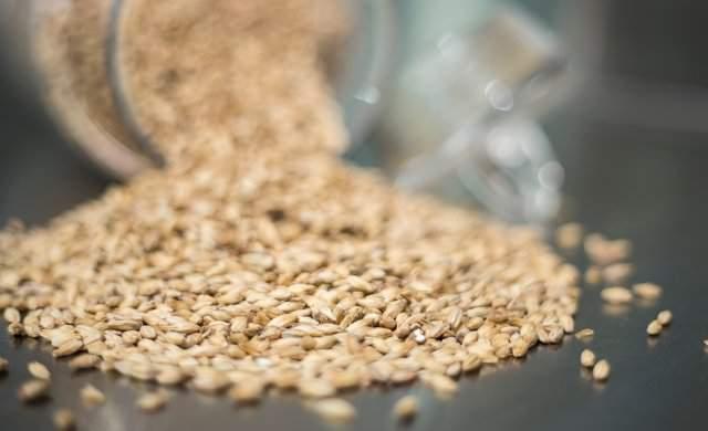 NATURLIGA PRODUKTER Äkta en självklarhet Tanken om äkthet är en grundfilosofi som genomsyrar hela Spendrups verksamhet.