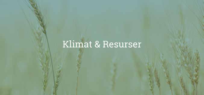 Spendrups miljöarbete fokuserar särskilt på minskad klimatpåverkan och optimerad resursanvändning.