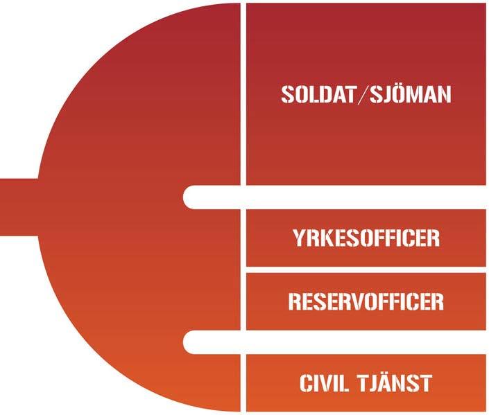 TJÄNSTGÖRINGSFORMER Vad du kan verka som Hur du kan tjänstgöra Heltid Soldat /